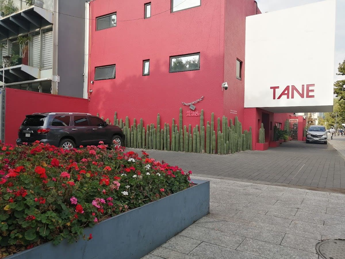 TANE