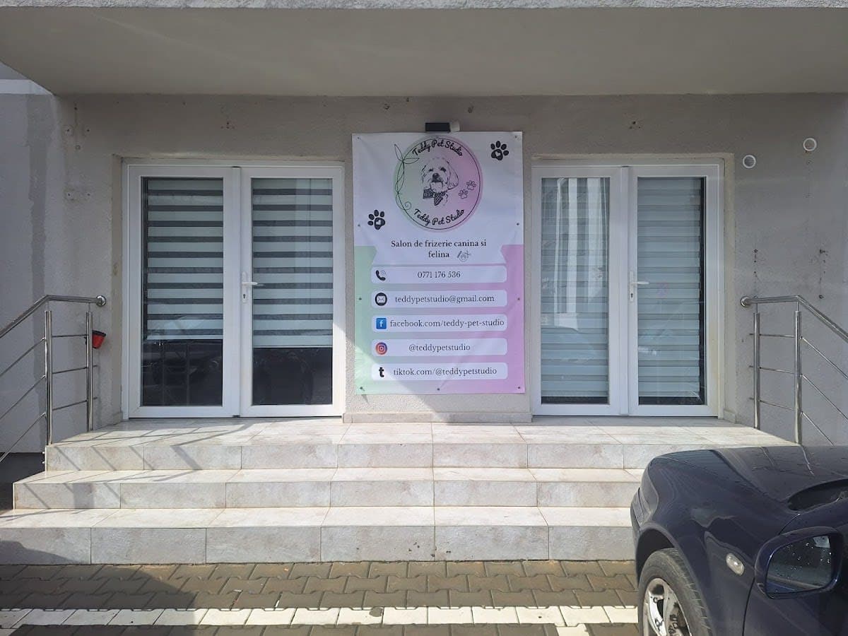 Teddy Pet Studio