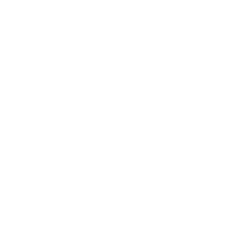 Texas Tipsy Tours
