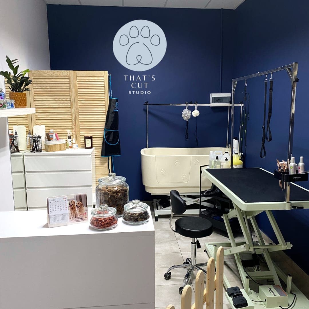 That’s Cut Studio