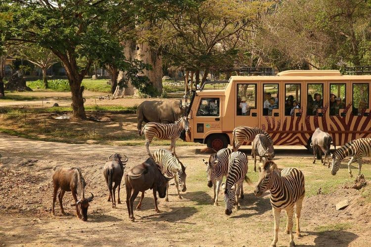The Amazing Taman Safari Bali