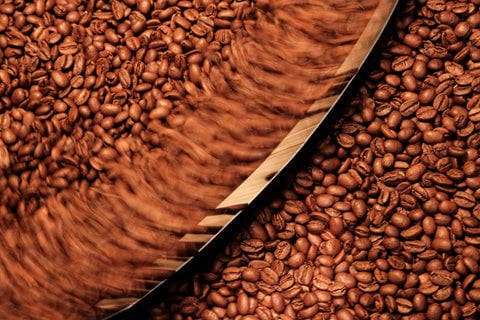 The Good Coffee Company