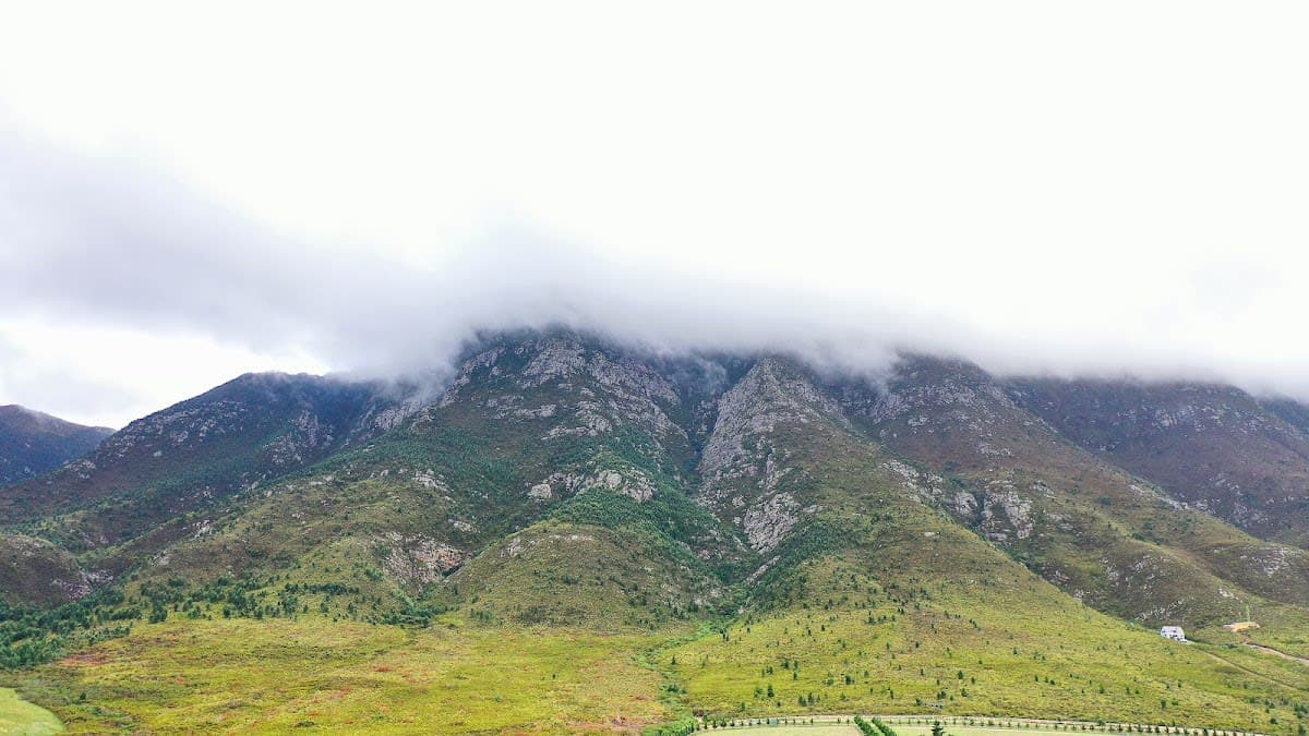 The Hermanus Camino