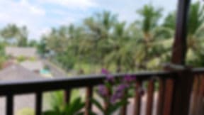 The point Surfcamp Bali