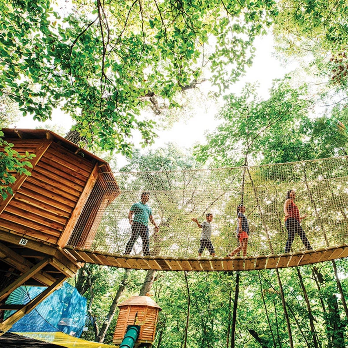 Tree Adventure