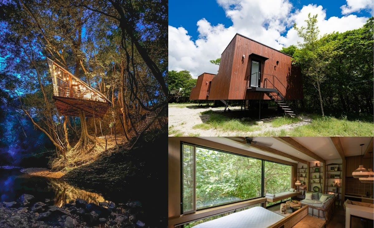 Treeful Treehouse