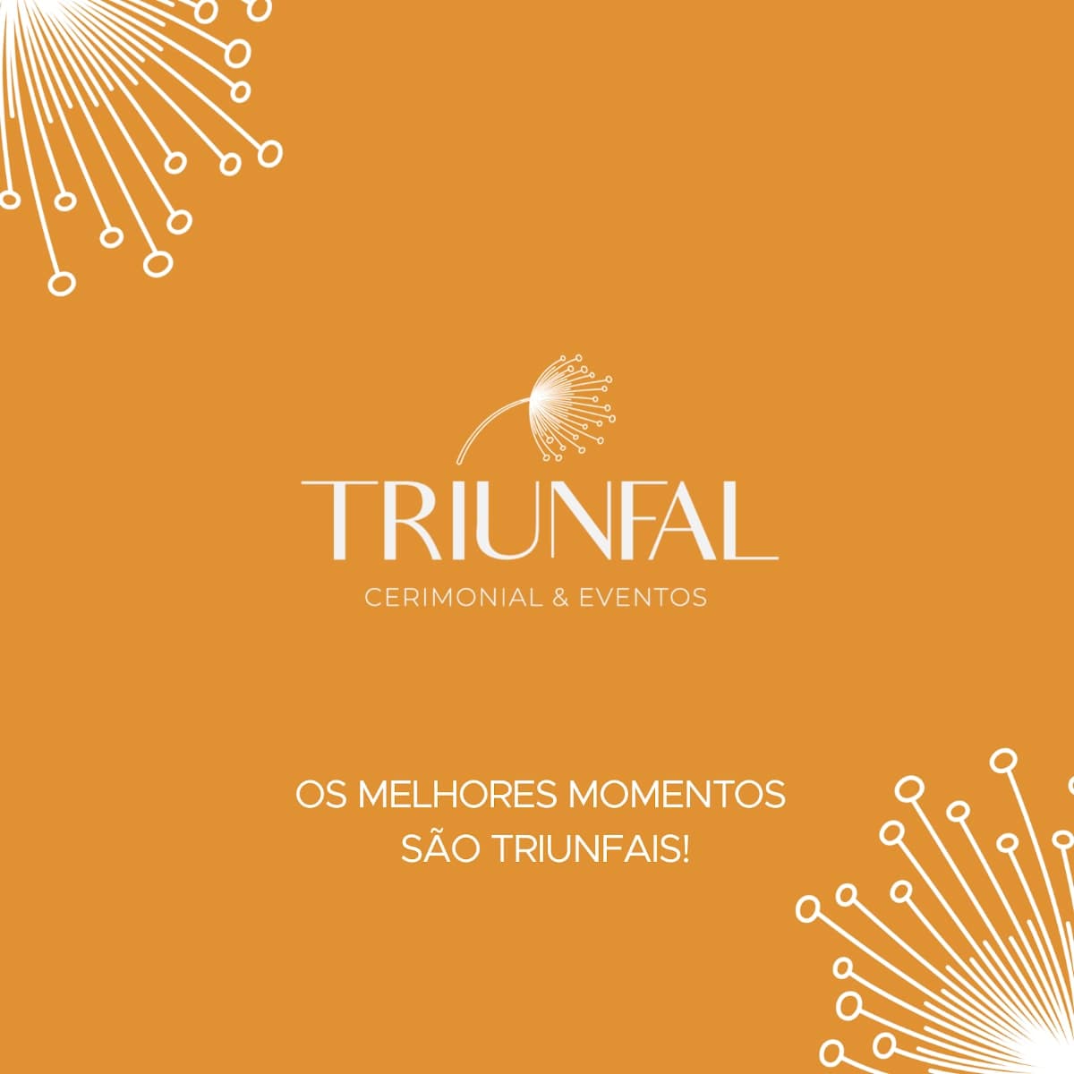 Triunfal Cerimonial e Eventos - Natal/RN