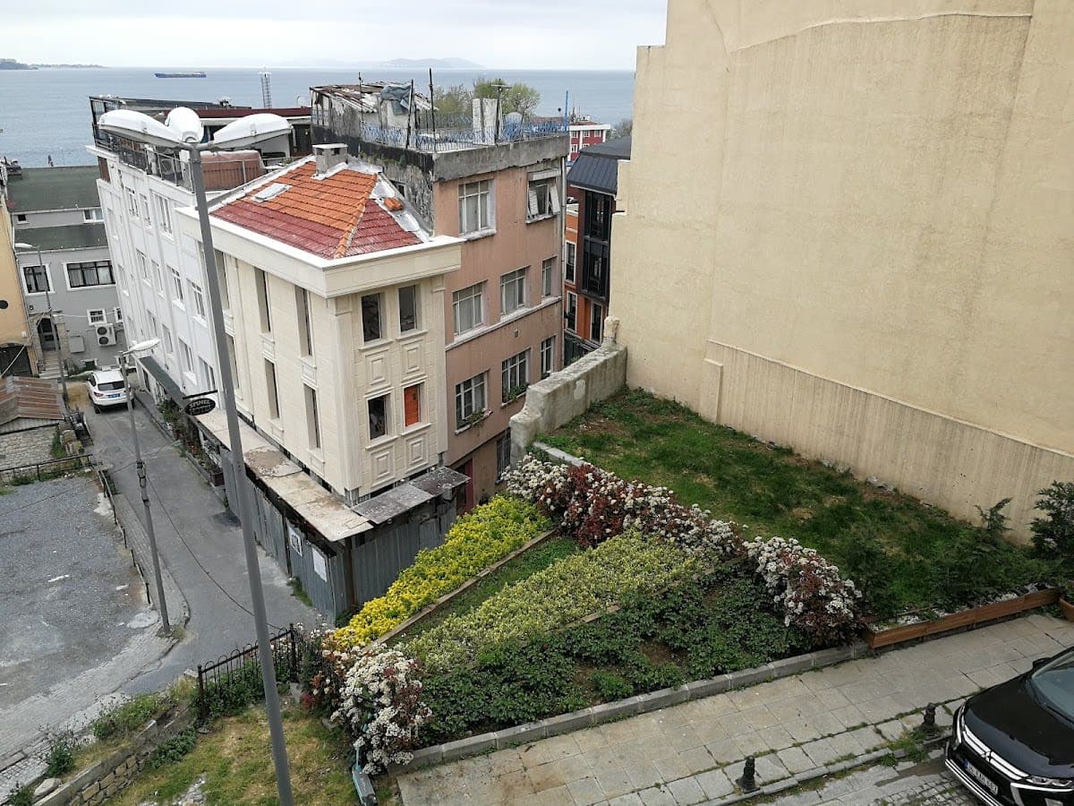 Tulip Guesthouse