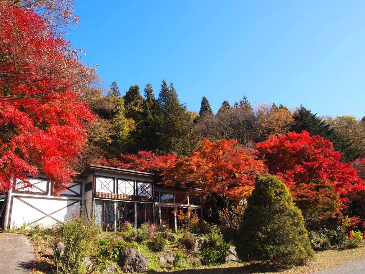 Utatane