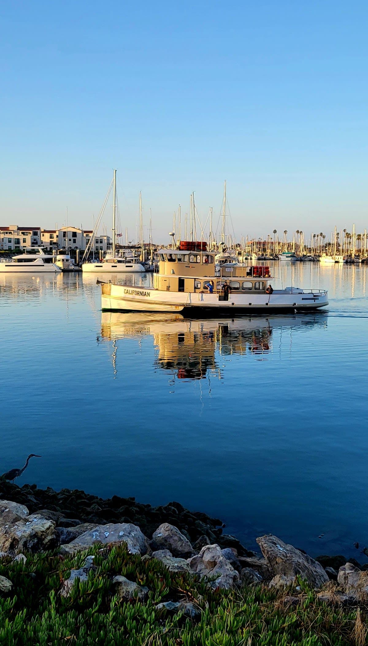 Ventura Harbor Sportfishing