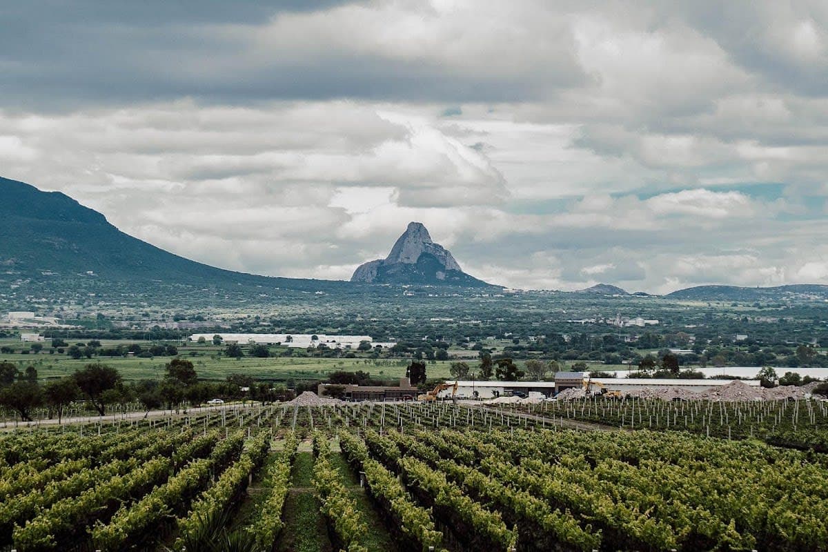 VINALTURA
