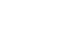 Vivant SP