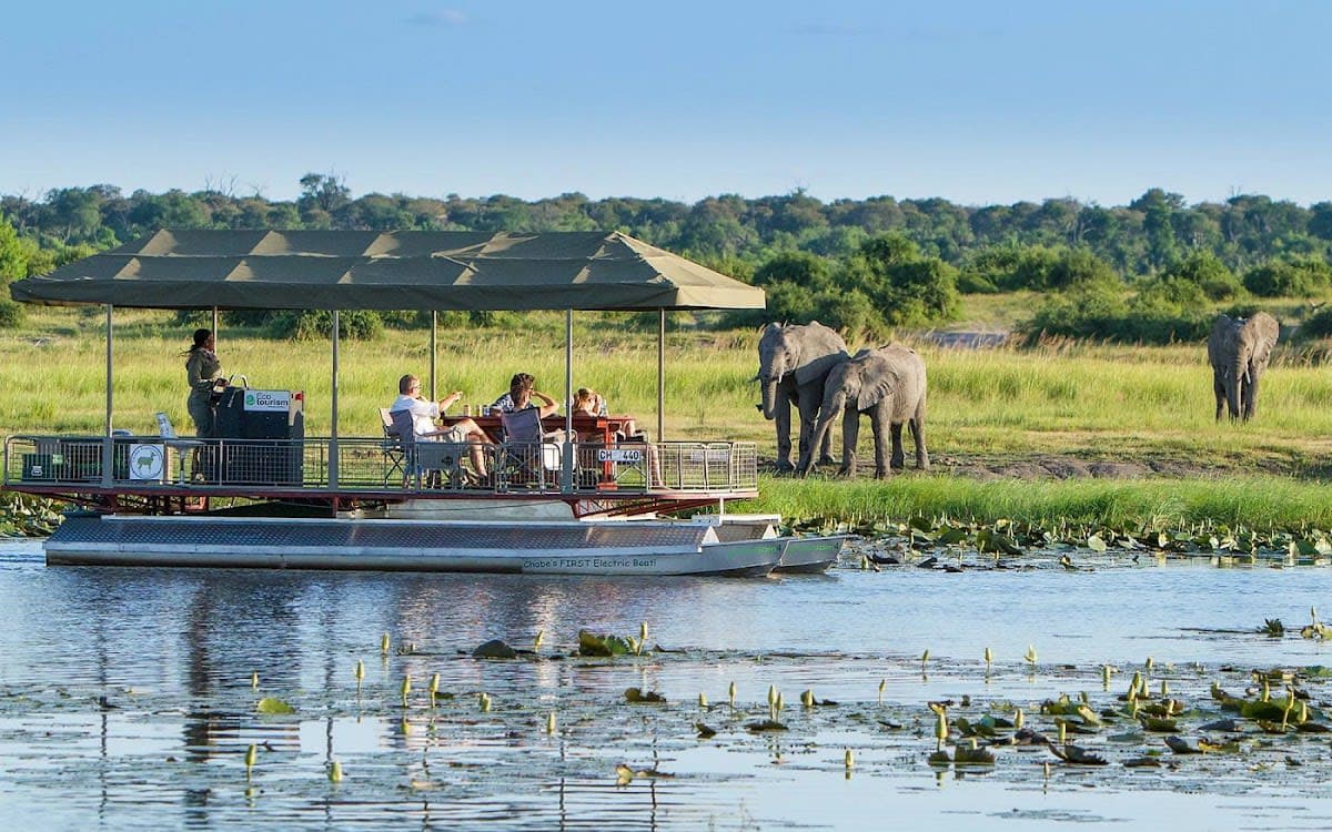 Walking Guided Tour & Safaris
