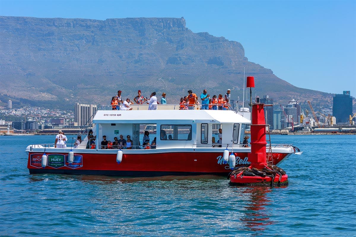 Waterfront Boat Tours