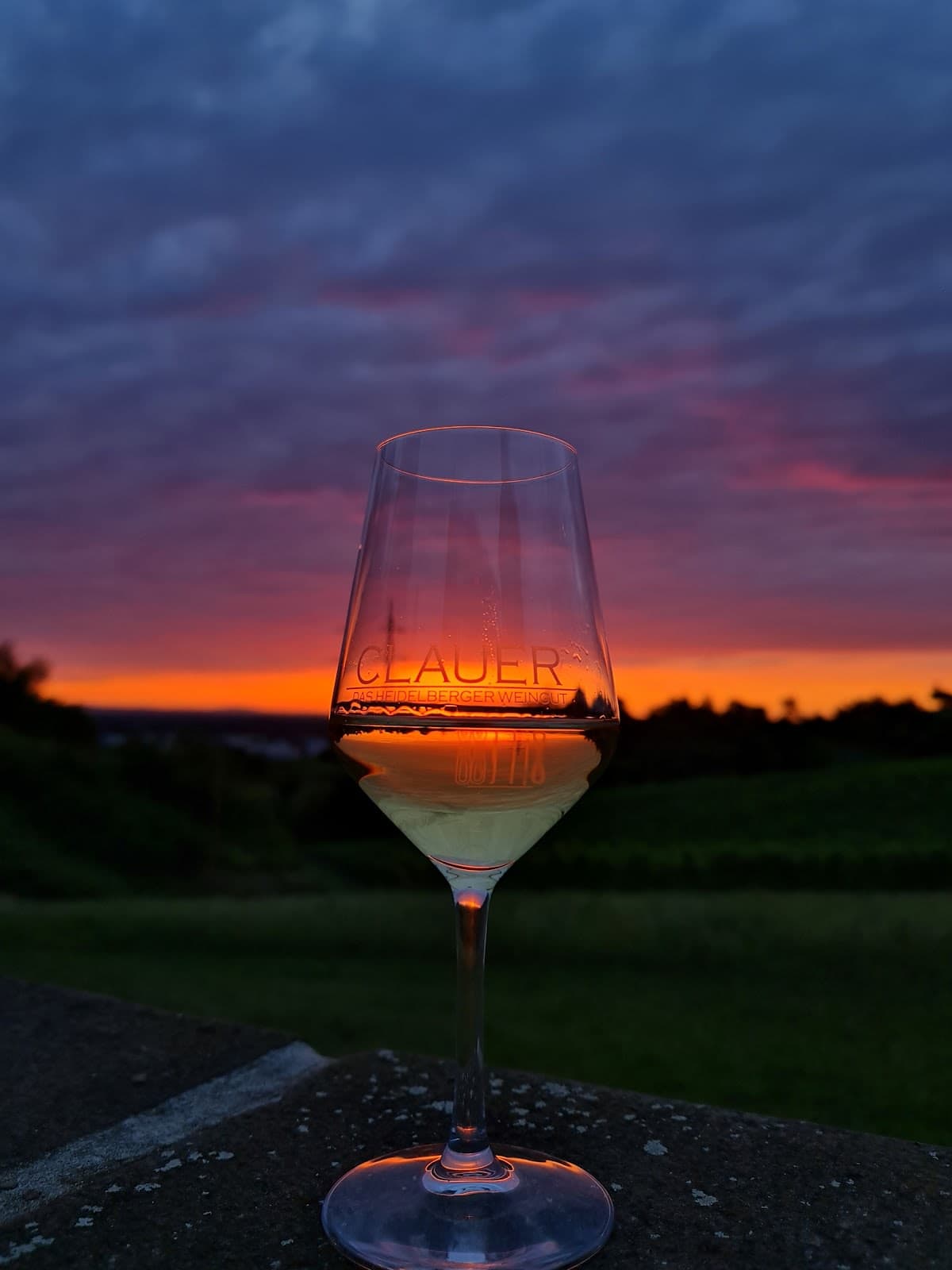 Weingut Clauer - Jörg Clauer