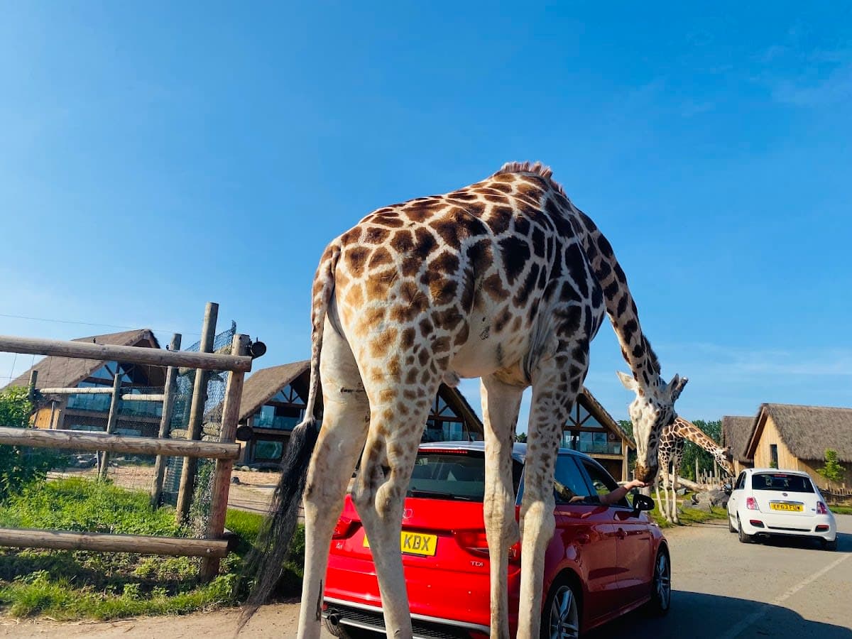 West Midlands Safari Park