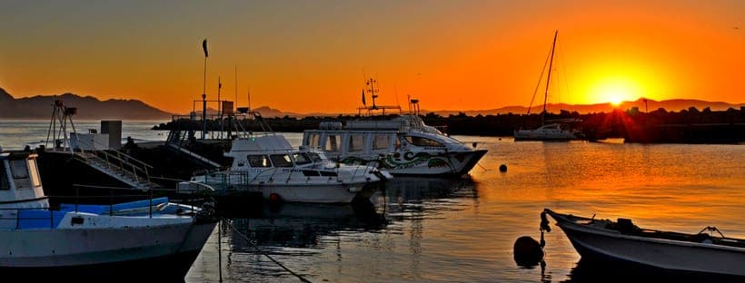 Wicked Tuna South Africa