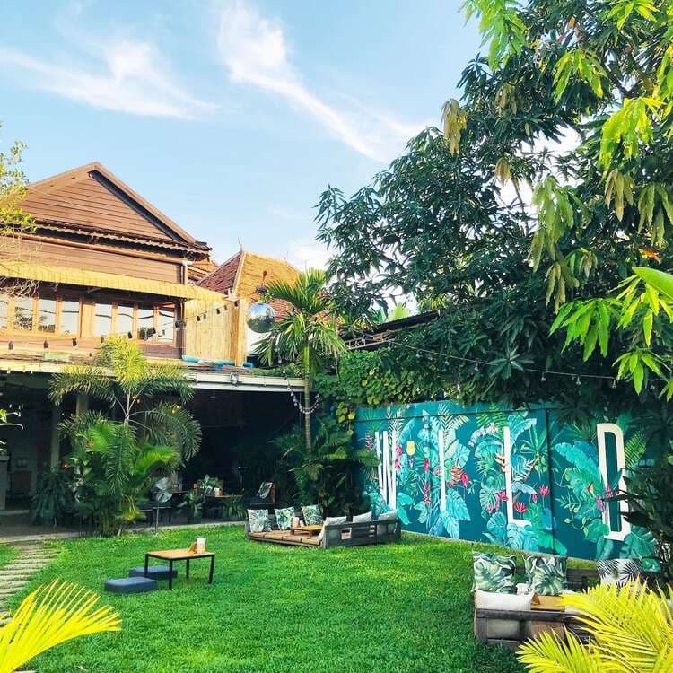 Wild Phnom Penh