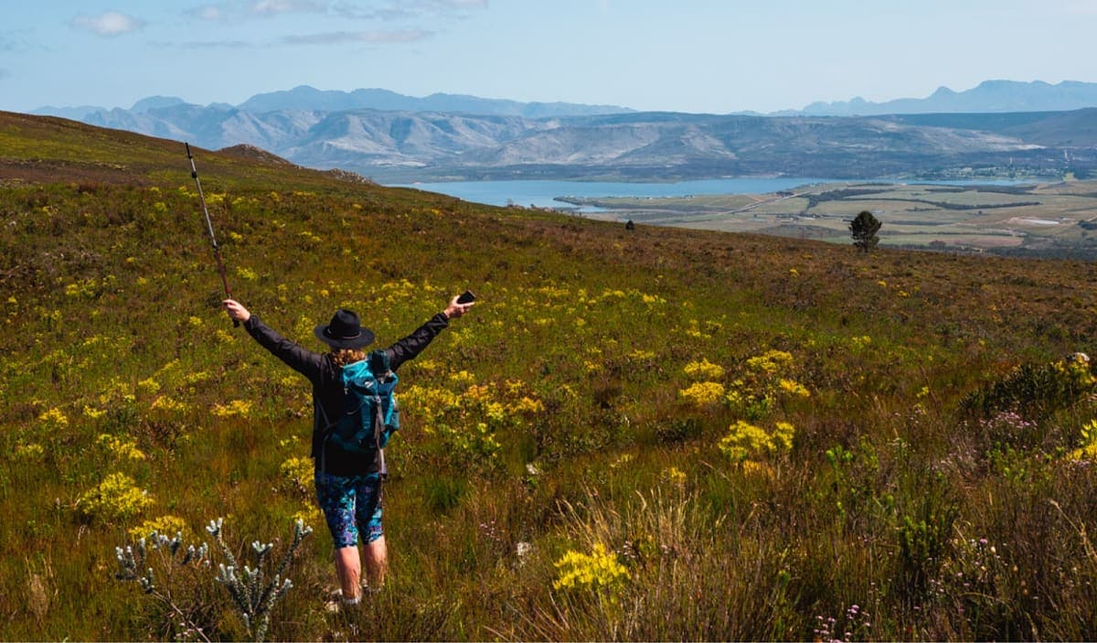 Wild Wellness