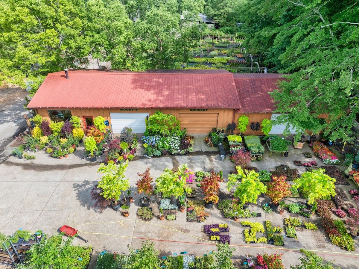 Woodys Nursery Inc