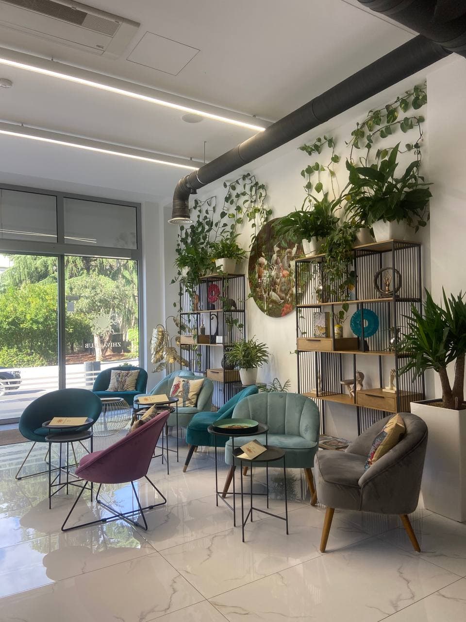 ZHIVA CLUB