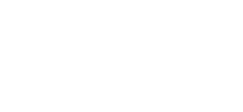 Nuvivi Cakes