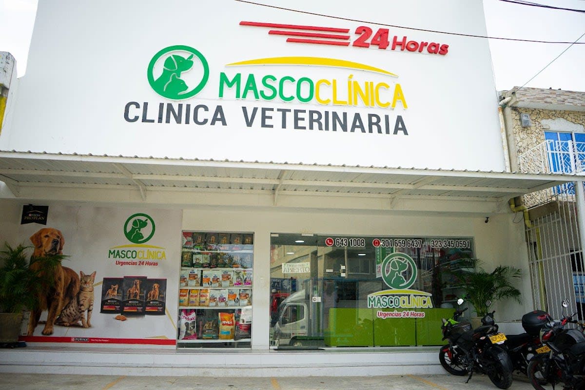 Cuidadora de mascotas