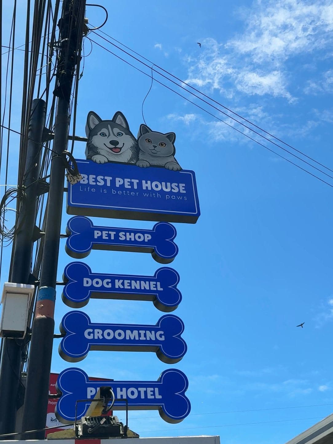 Doggy Daycare