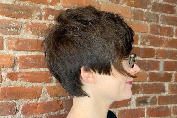 Highlights