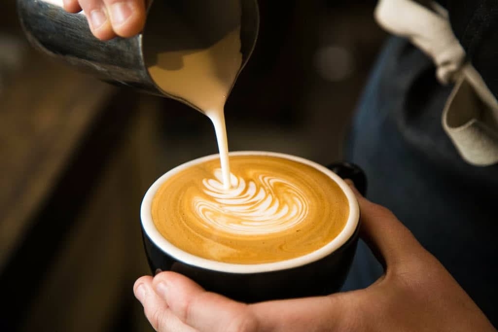 CHEMEX - Filter-Drip Coffeemaker
