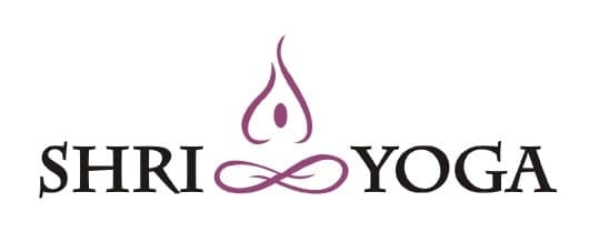 Vinyasa Flow