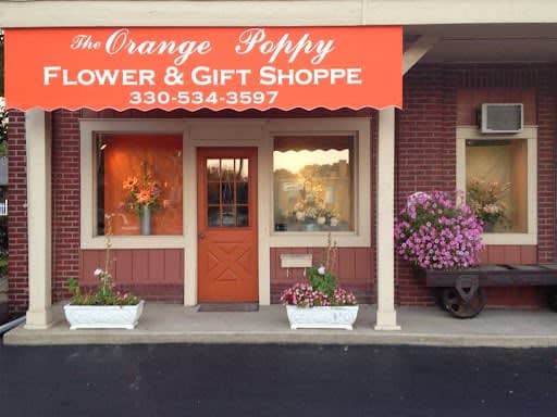 The Orange Poppy